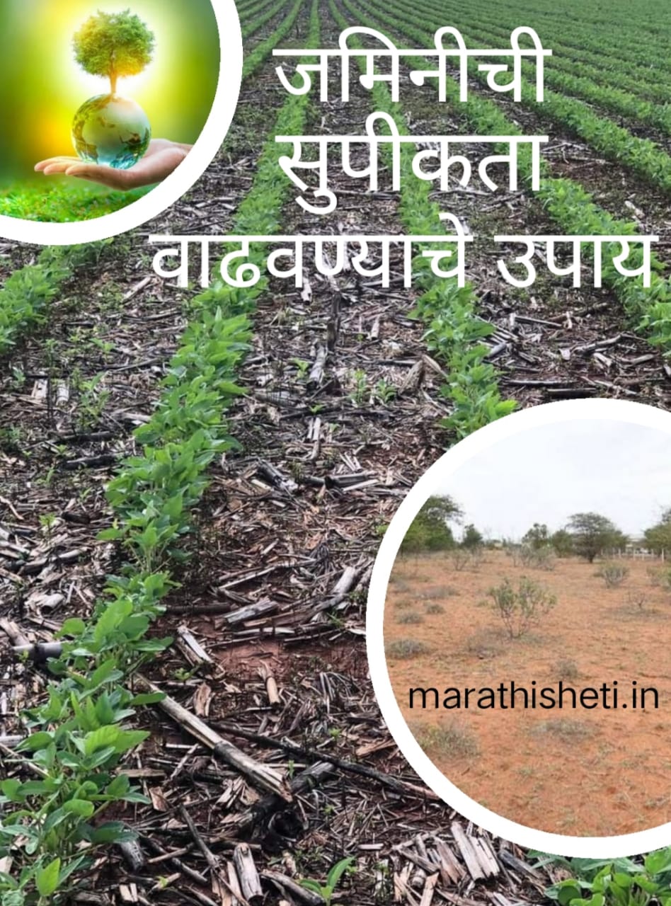 Soil fertility