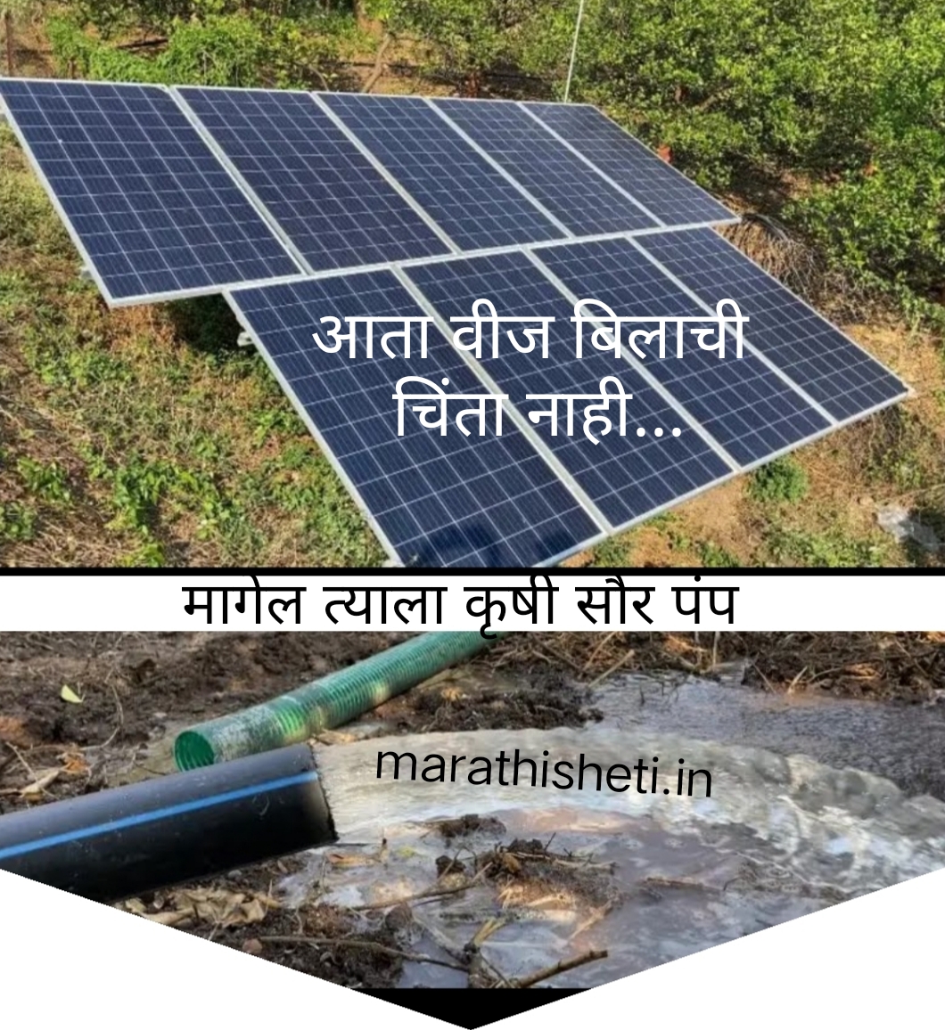 pm solar pump scheme