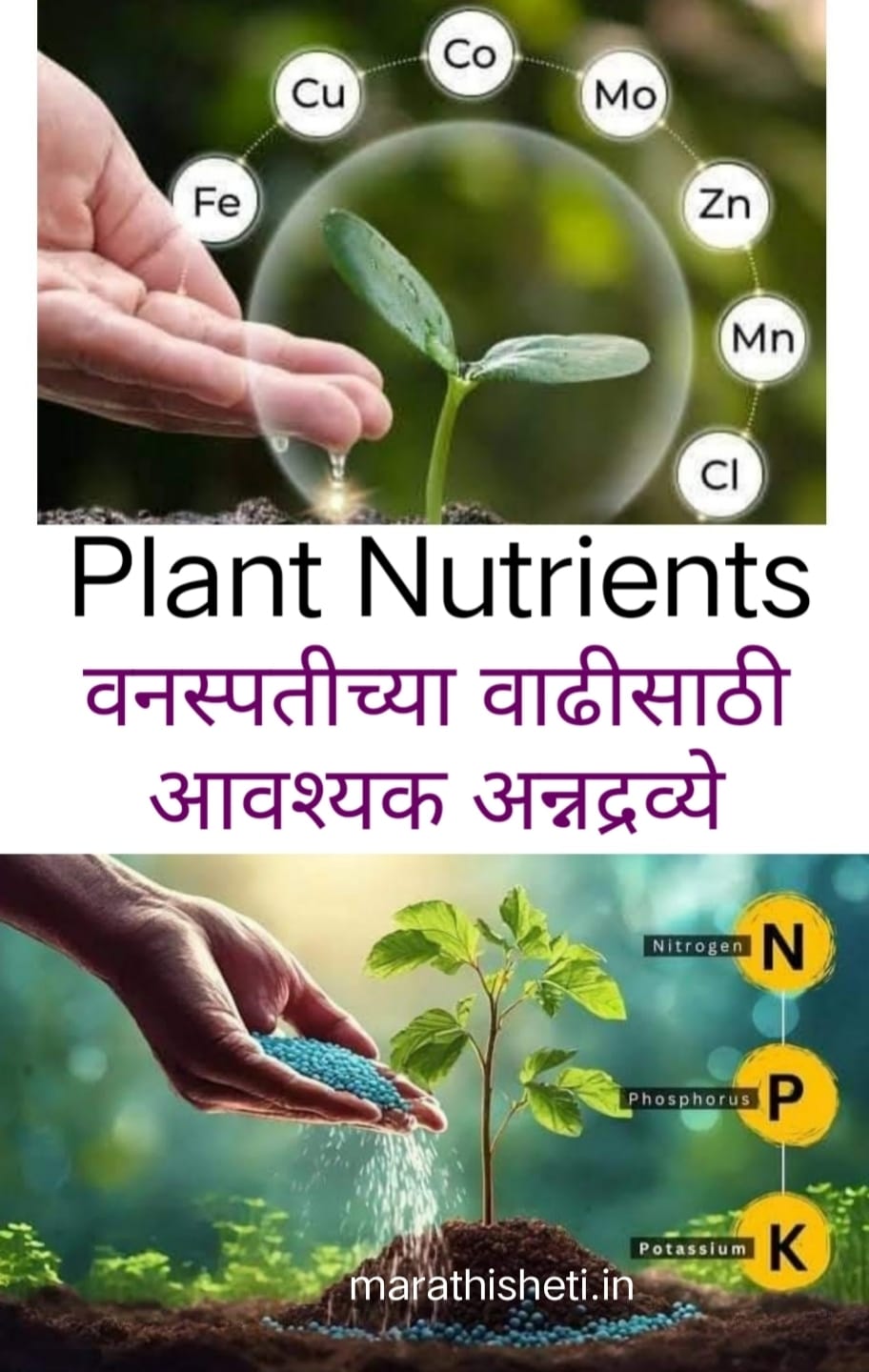 Plant nutrition