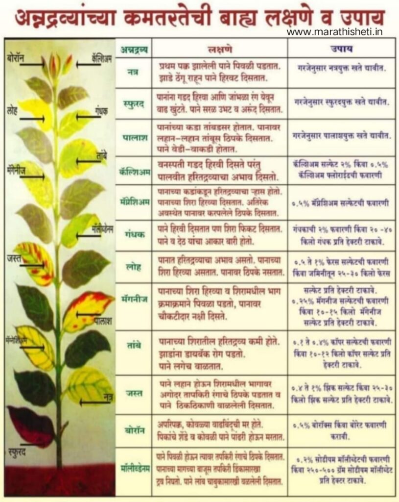 Micronutrients पिकामध्ये सूक्ष्मअन्नद्रव्यांचा वापर गरजेचा. 4 Micronutrients