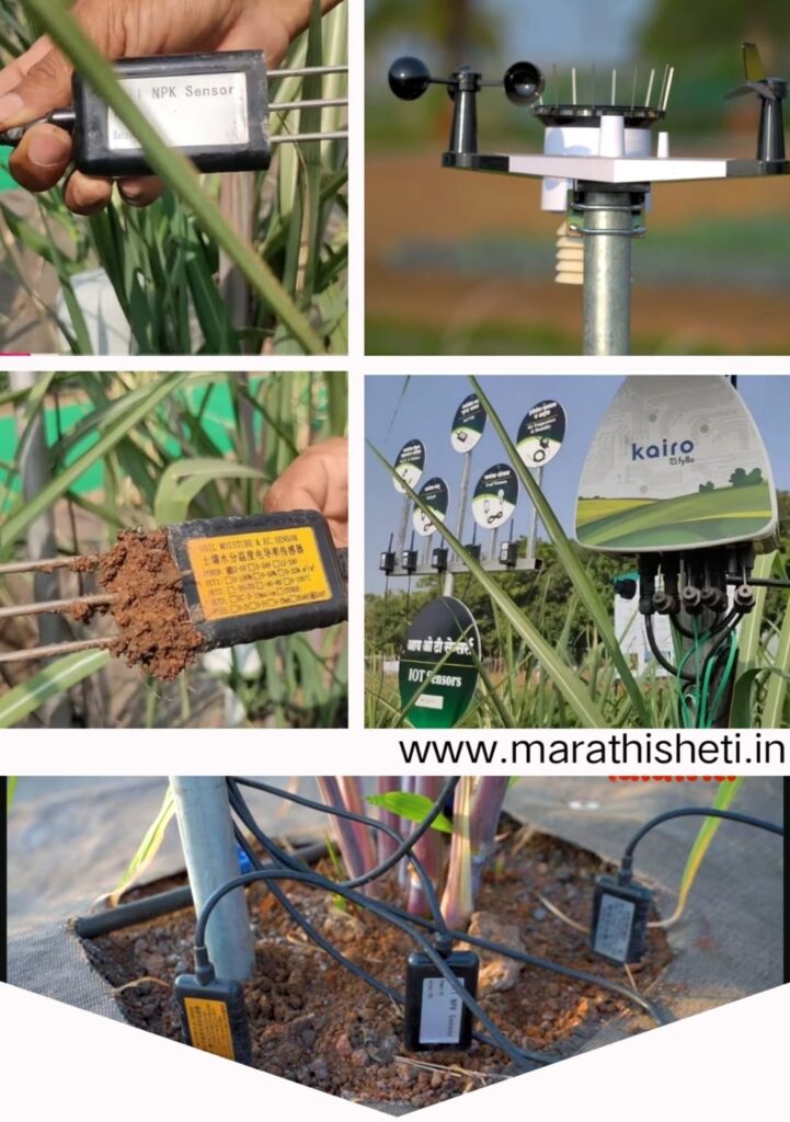 AI in sugarcane farming ऊस शेतीमध्ये AI चा वापर 2 AI in sugarcane farming