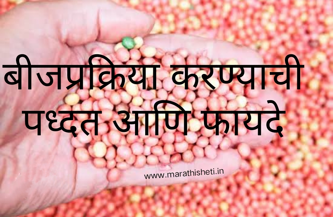 Seed treatment