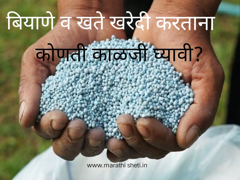 When buying Seeds and Fertilizers