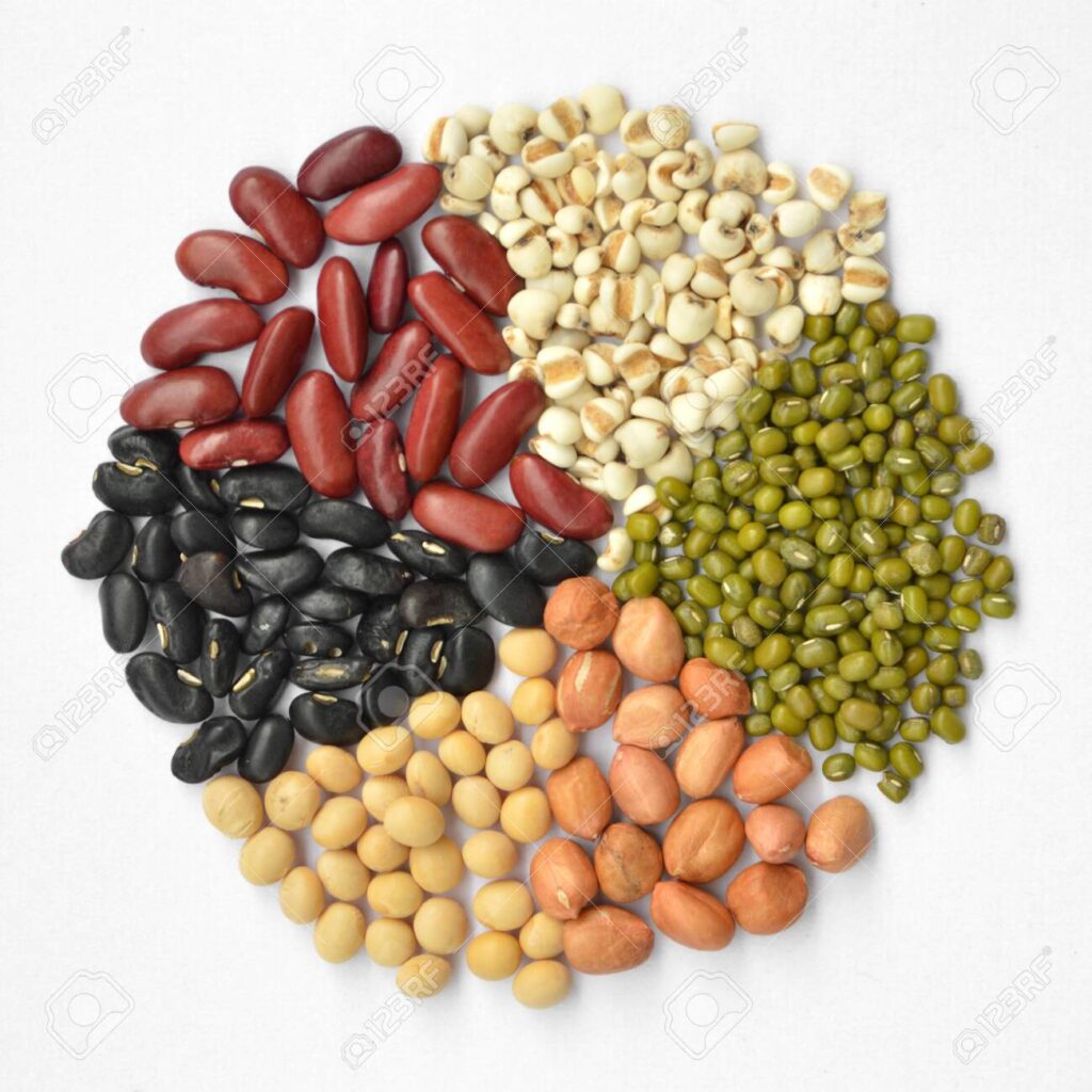 When buying Seeds and Fertilizers बियाणे, खते खरेदी करताना घ्या ही काळजी… 2 When buying Seeds and Fertilizers